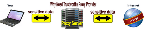 why need Trustworthy Proxy Providers